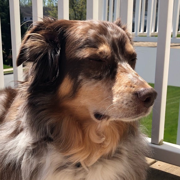 Meet your Posher, Laura - Picture 7 of 11